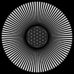 164819931_289607946022579_675041975539260638_n