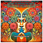 Screenshot_20241214-224418